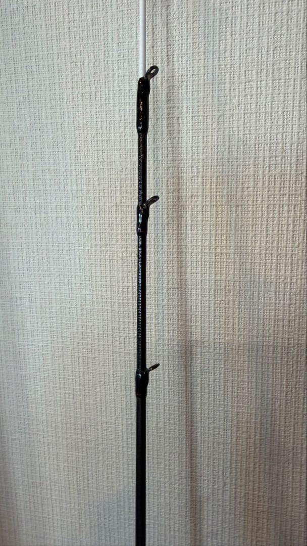 DAIWA ダイワ 極鋭カワハギ EX AGS F1