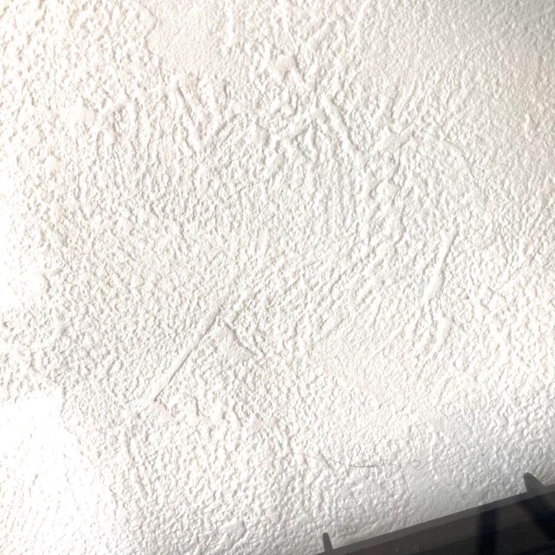 エキゾテラ GEX EXOTERRA グラステラリウム6030両開きPT2604