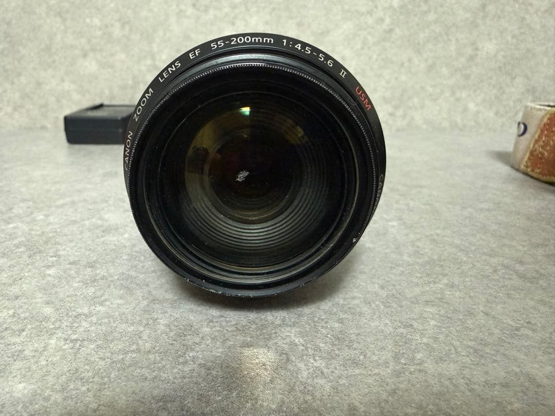 デジタル一眼レフカメラ キャノン EOSKiss デジタルN ダブルズームキット