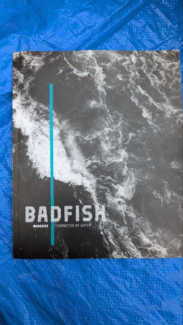 BADFISH SHRED バッドフィッシュ　リバーシュレッド SUP
