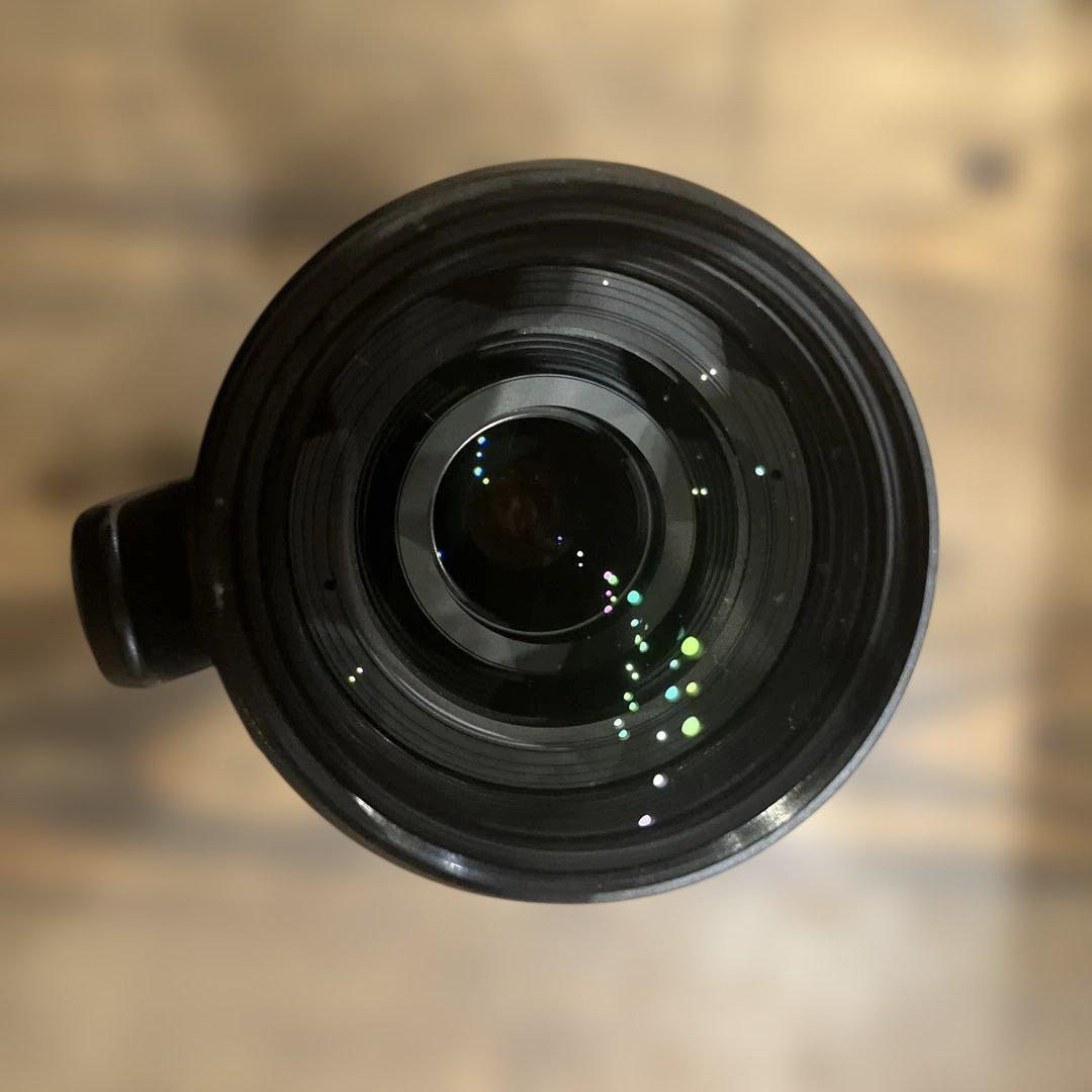 Olympus Zuiko Digital 50-200/2.8-3.5フード付