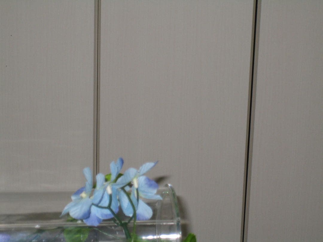 Canon カメラ　IXY 50 PC1101 充電器　説明書 コンデジ　動作品