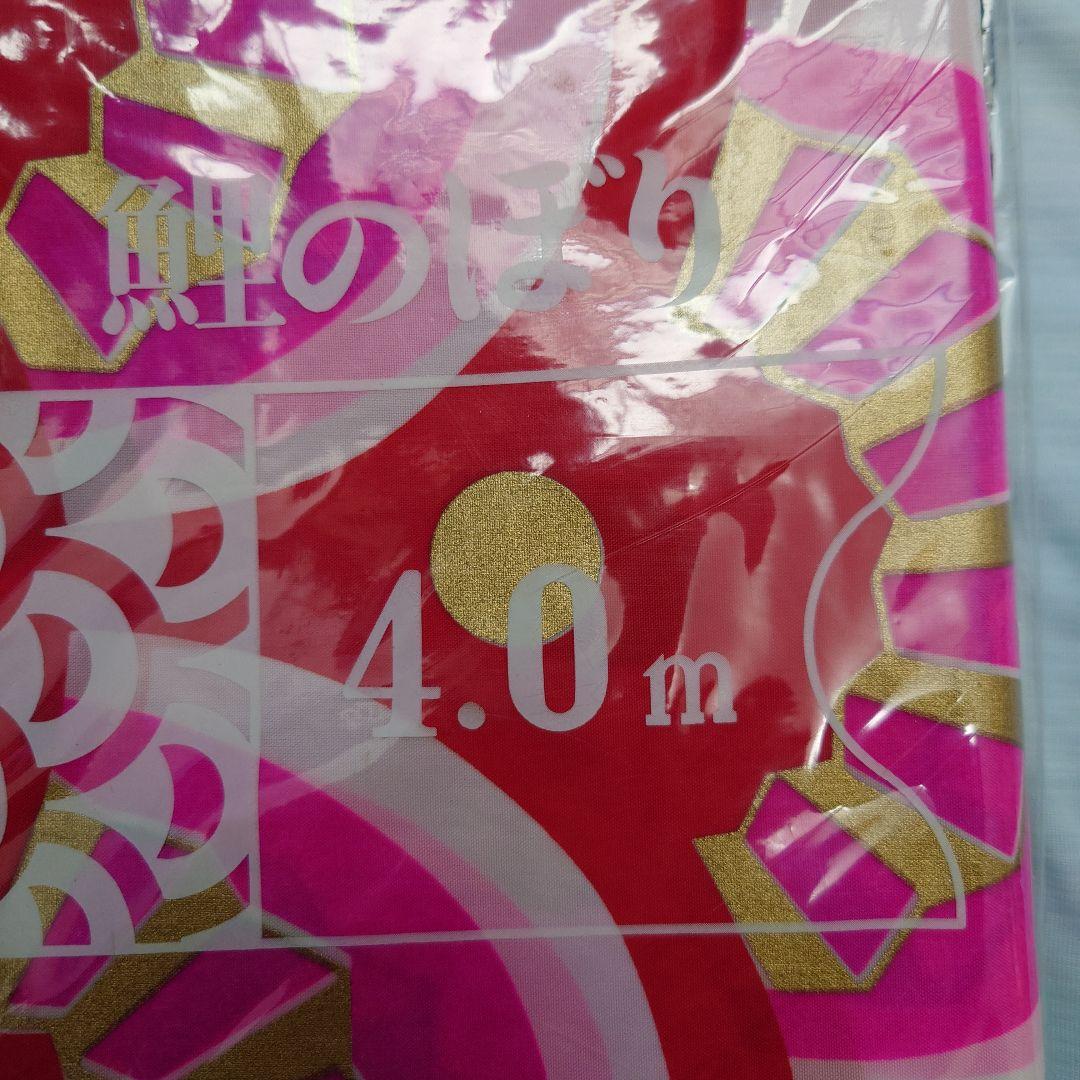 フジサワ鯉のぼり　ゴールデン鯉5m （吹き流し、黒、赤、青）