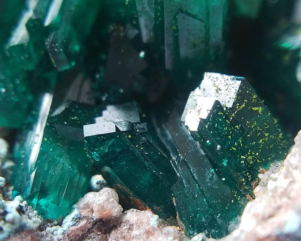 526 ダイオプテーズ プランへ石 翠銅鉱 クラスター コンゴ産