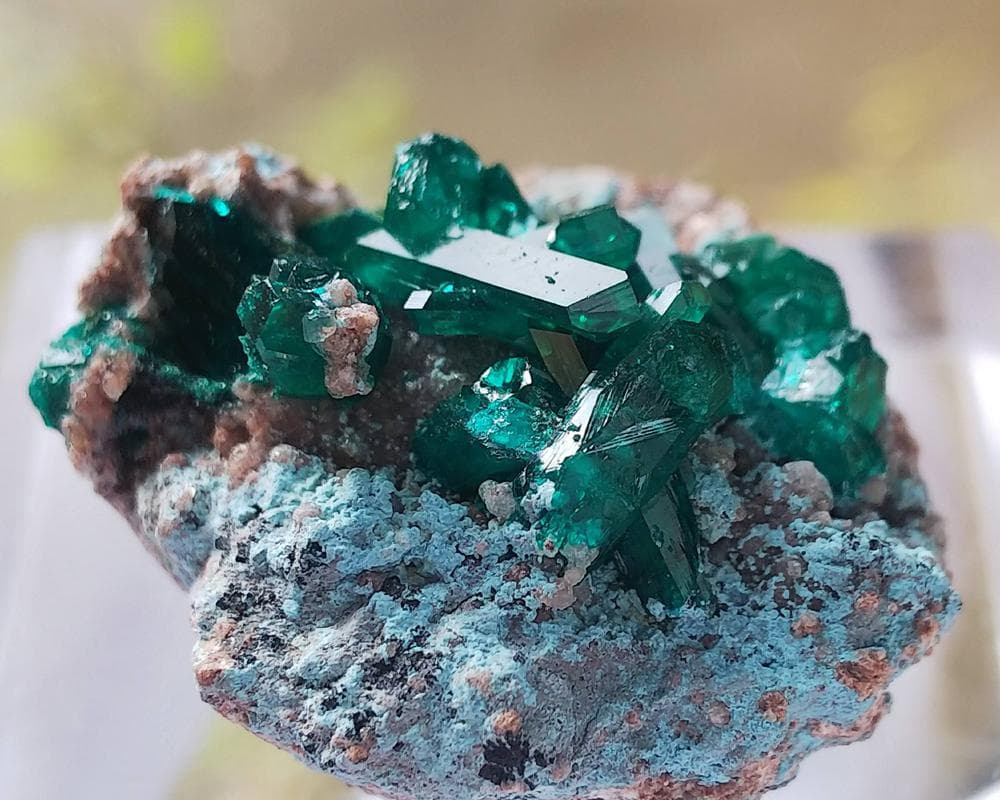 526 ダイオプテーズ プランへ石 翠銅鉱 クラスター コンゴ産