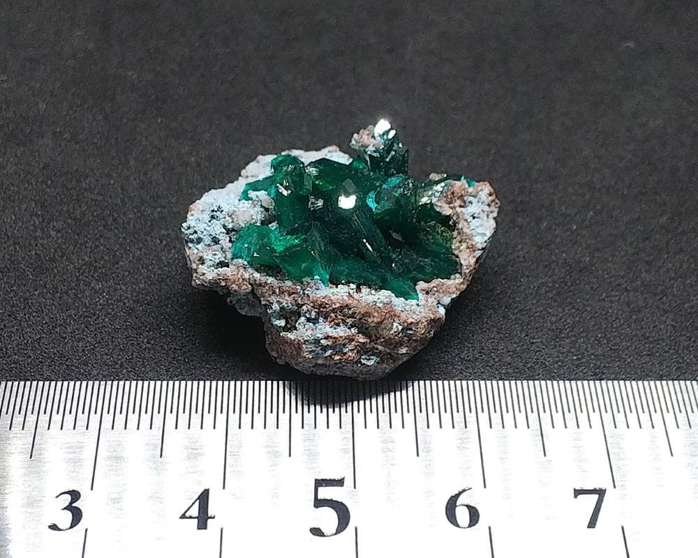 526 ダイオプテーズ プランへ石 翠銅鉱 クラスター コンゴ産