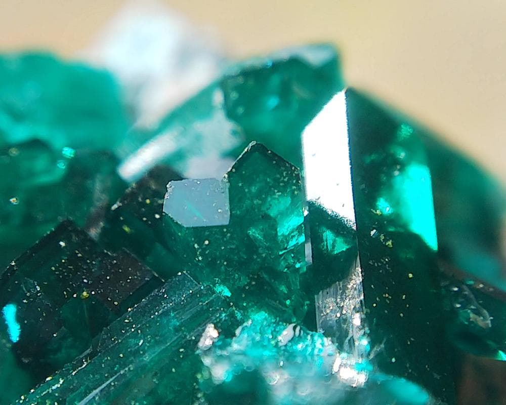 526 ダイオプテーズ プランへ石 翠銅鉱 クラスター コンゴ産