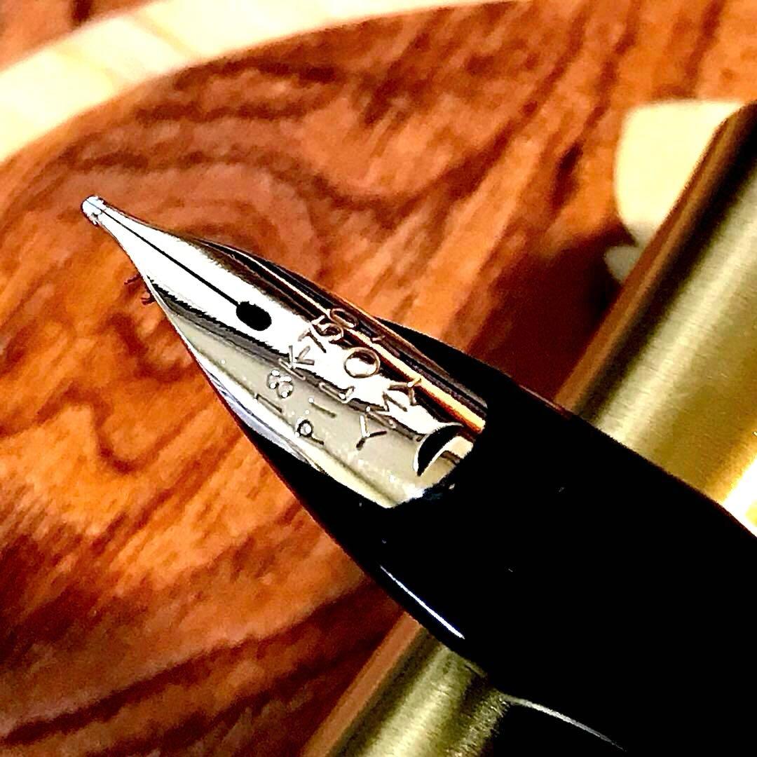 ☆超お勧め☆美しいパイロットエリート万年筆（M)18K