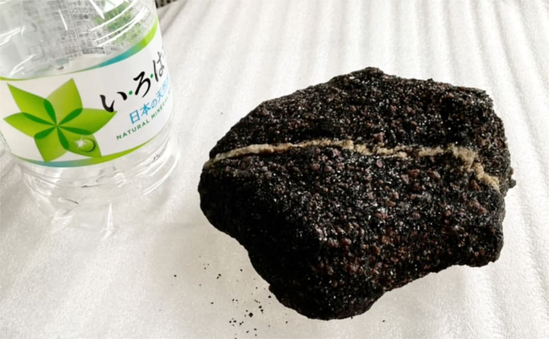 再度お値下げしました　希少　南極の石　黒にピンクの粒入り　南極観測隊員から入手