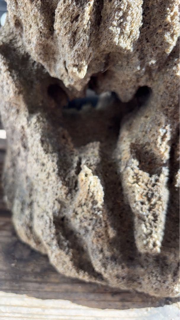 Kevin　雲山石 溶岩石鉢　レイアウト穴7個　水抜き穴あり