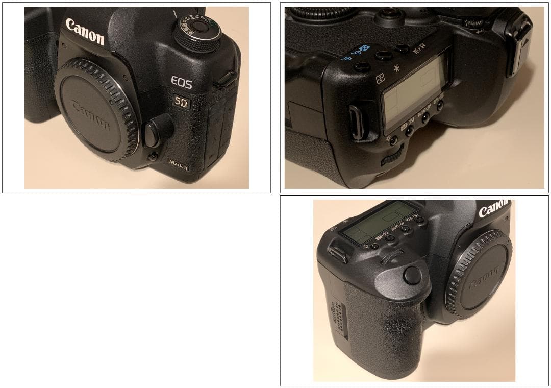美品 ショット数 8千台 Canon EOS 5D Mark Ⅱ ボディのみ
