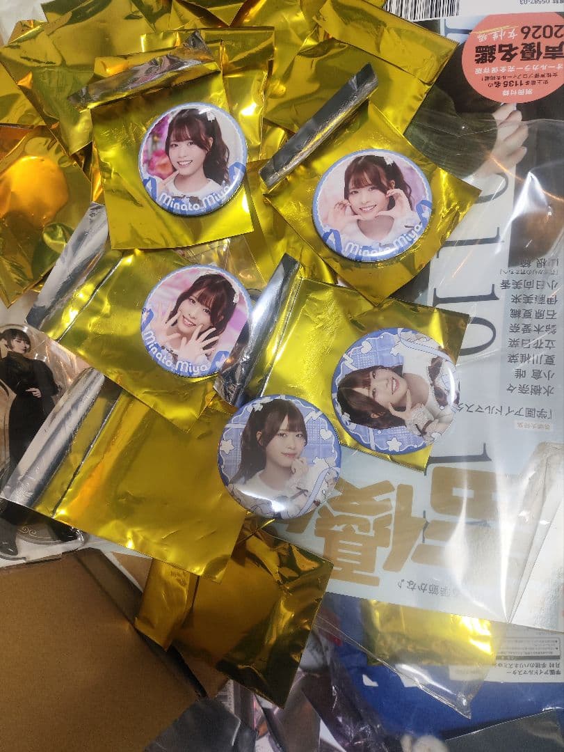 飯田ヒカル　Valentine Room 湊みや　ブロマイド　缶バッジセット