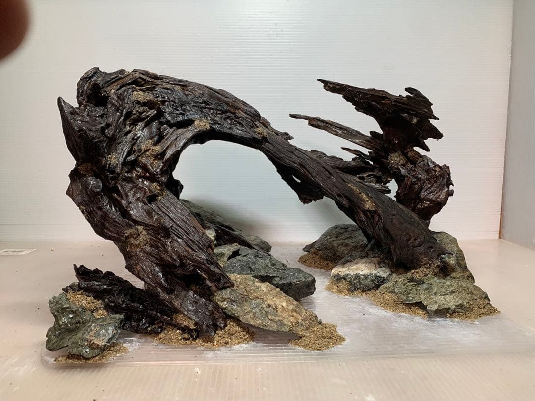 TTD 【ぎん様⭐︎】【美品・数量限定】