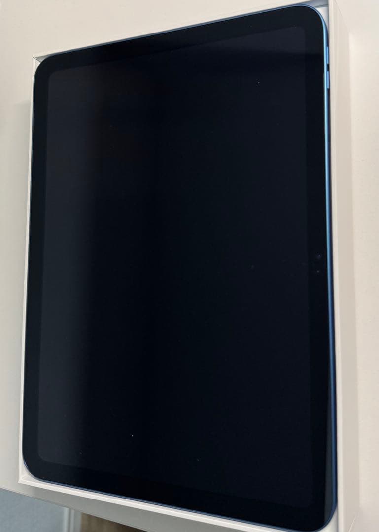 iPad 第11世代 A16 Wi-Fiモデル 128GB ブルー 本体