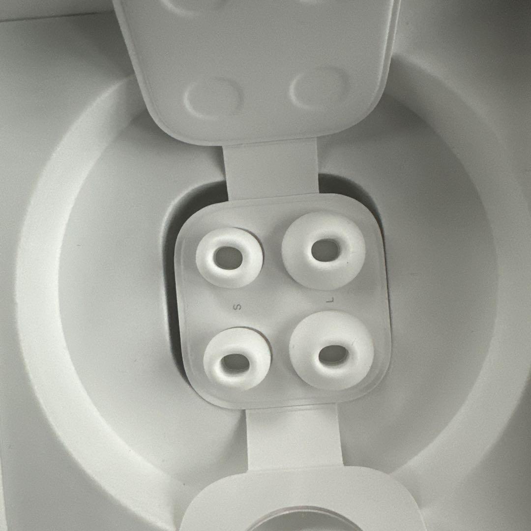 Apple AirPods Pro MagSafe本体