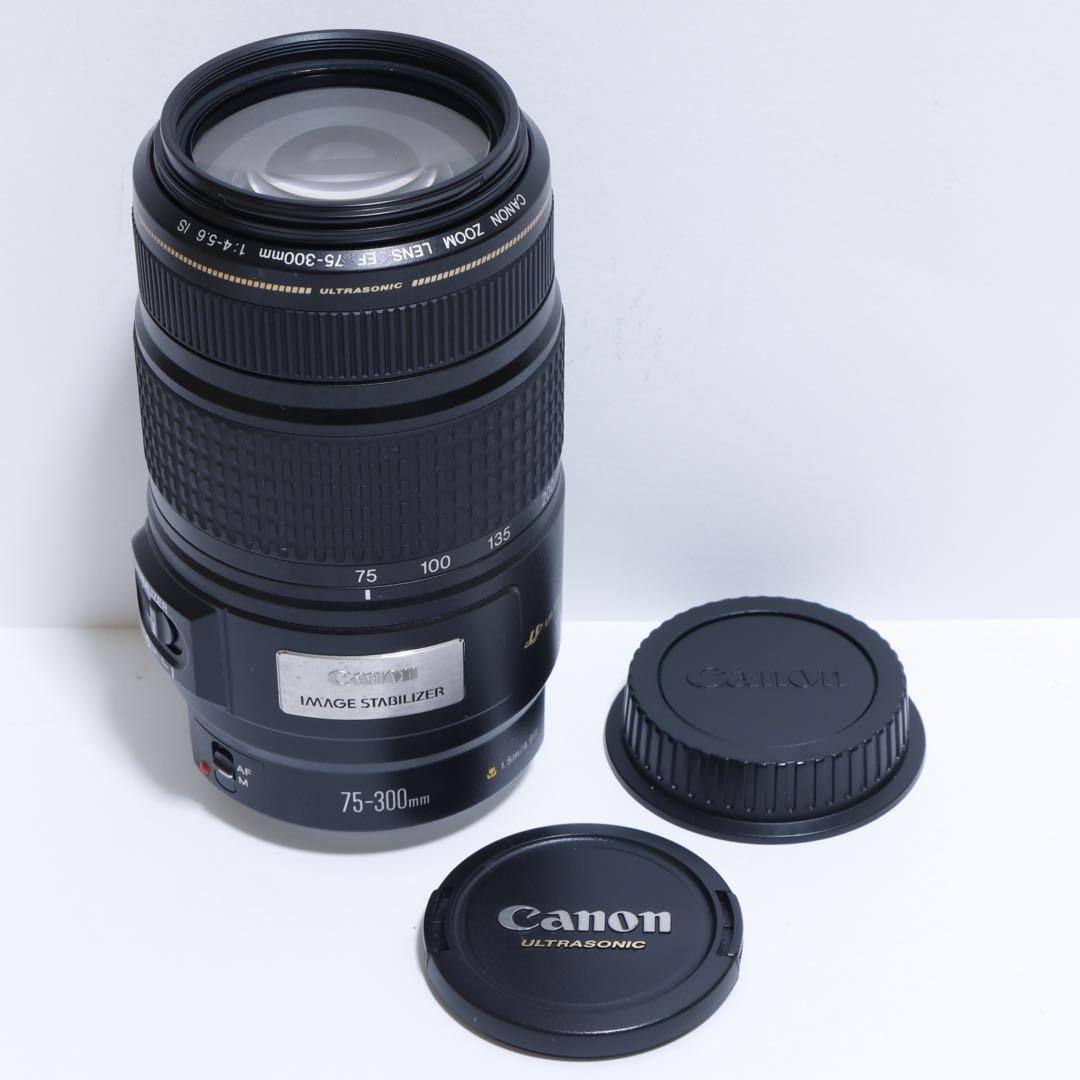 ◇超望遠&高速AF&手ブレ◇ Canon純正 75-300mm IS◇