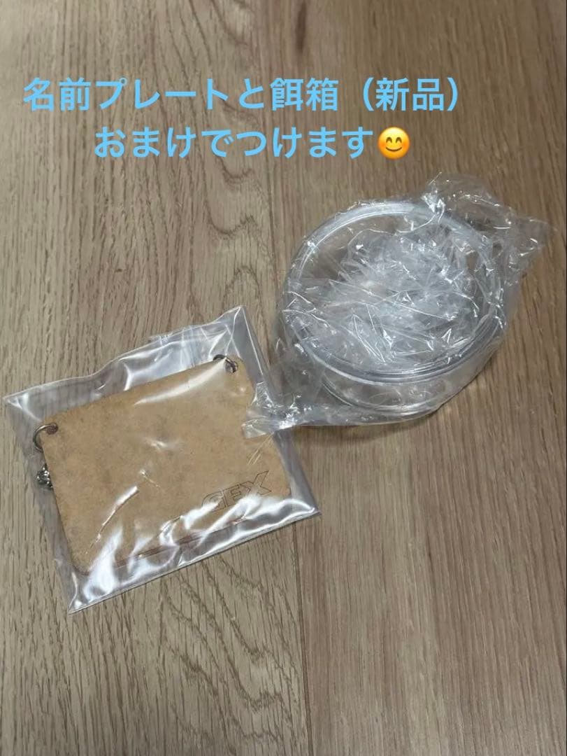 GEX アクリルルーム390High