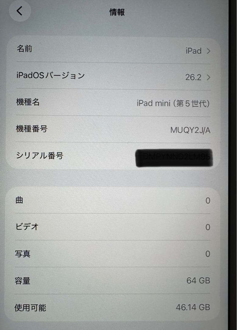 ipad mini 5 wi-fi 起動ジャンク