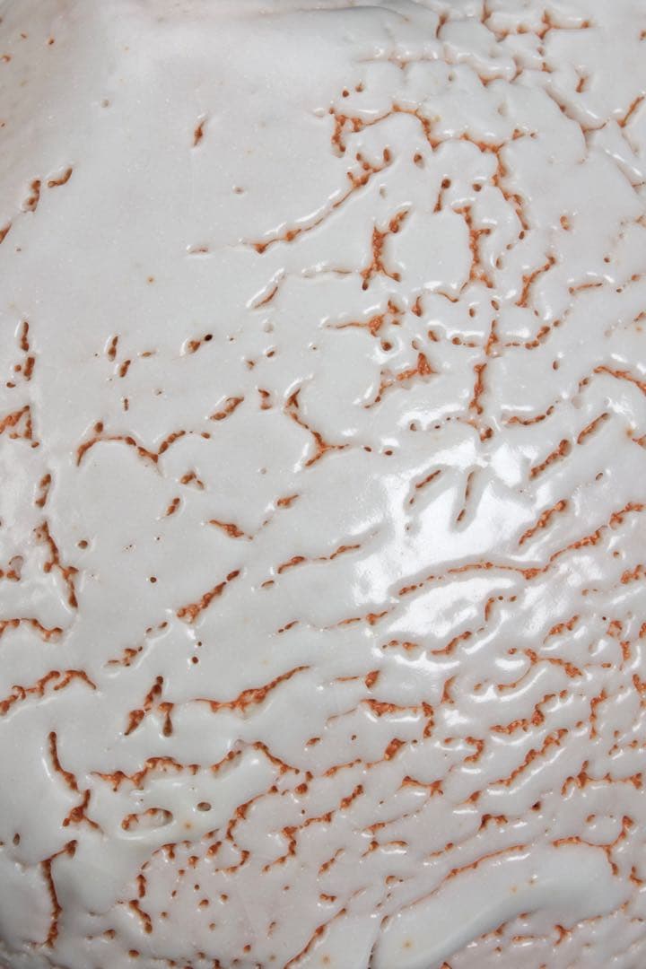 林正太郎 志野壺 共箱 栞付 高さ25㎝ 美濃焼 現代陶芸 花器 飾壺 日本美術