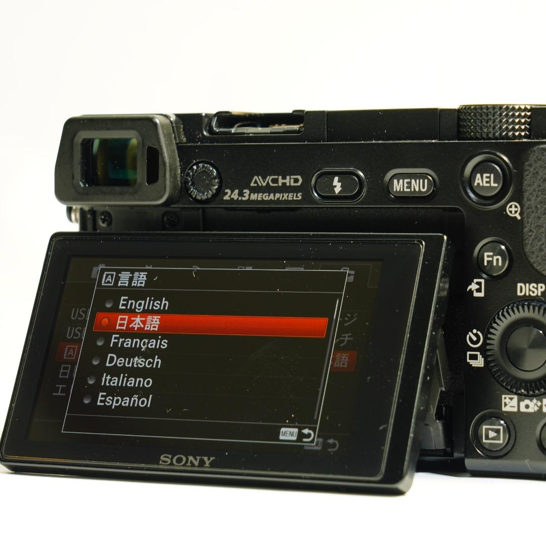 【美品】SONY ミラーレス α6000 ILCE-6000 ブラック 制限解除