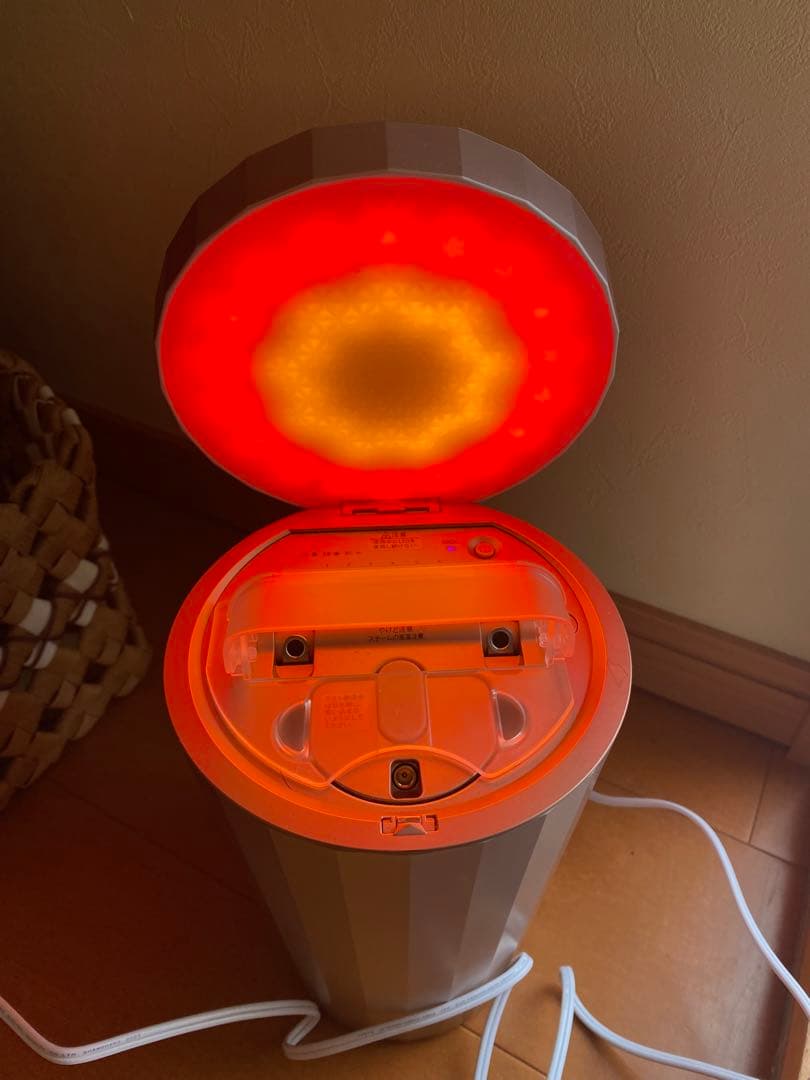 【YJSB1P】YA-MAN　LEDスチーム美顔器 フォトスチーマー