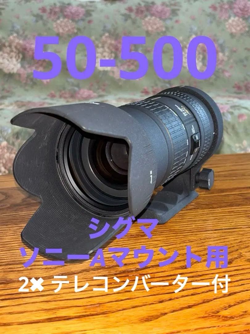 SIGMAシグマ 望遠ズームレンズ APO 50-500mm F4-6.3 EX