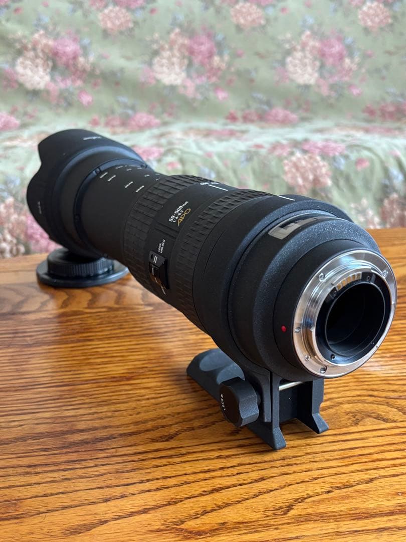 SIGMAシグマ 望遠ズームレンズ APO 50-500mm F4-6.3 EX