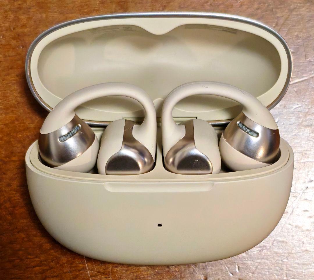 【ほぼ未使用】Shokz OpenDots ONE 純正ケースカバー・ポーチ付き