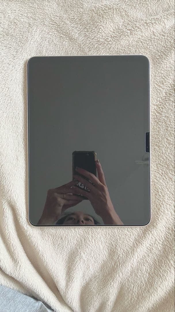 iPad Air 11インチ M3 256GB WiFi