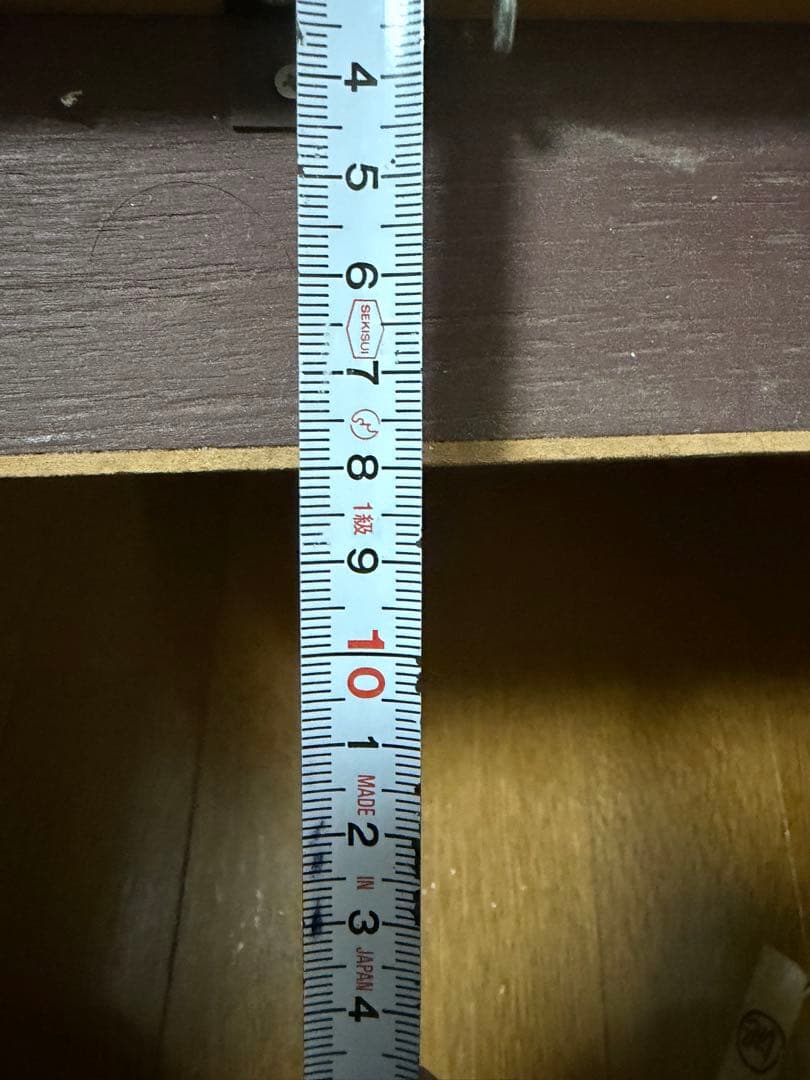 イワナ　剥製