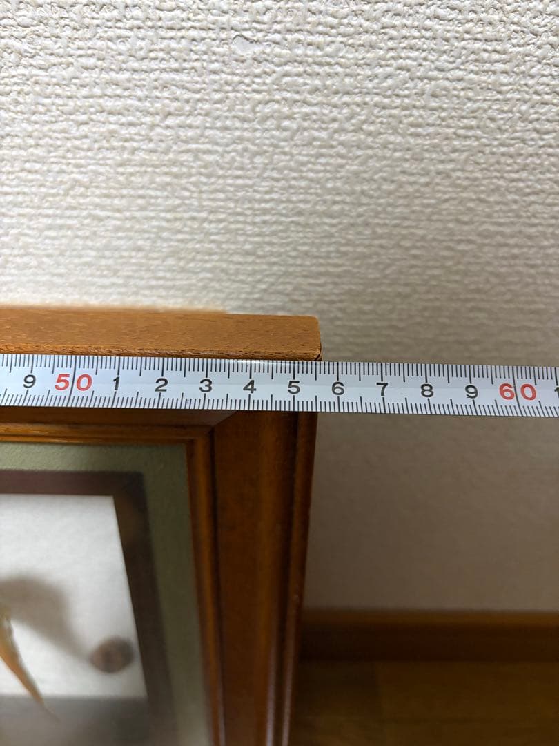イワナ　剥製