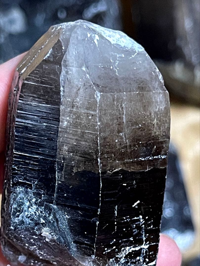 いんぷっぷ 84点セット　＋18点プリゼント