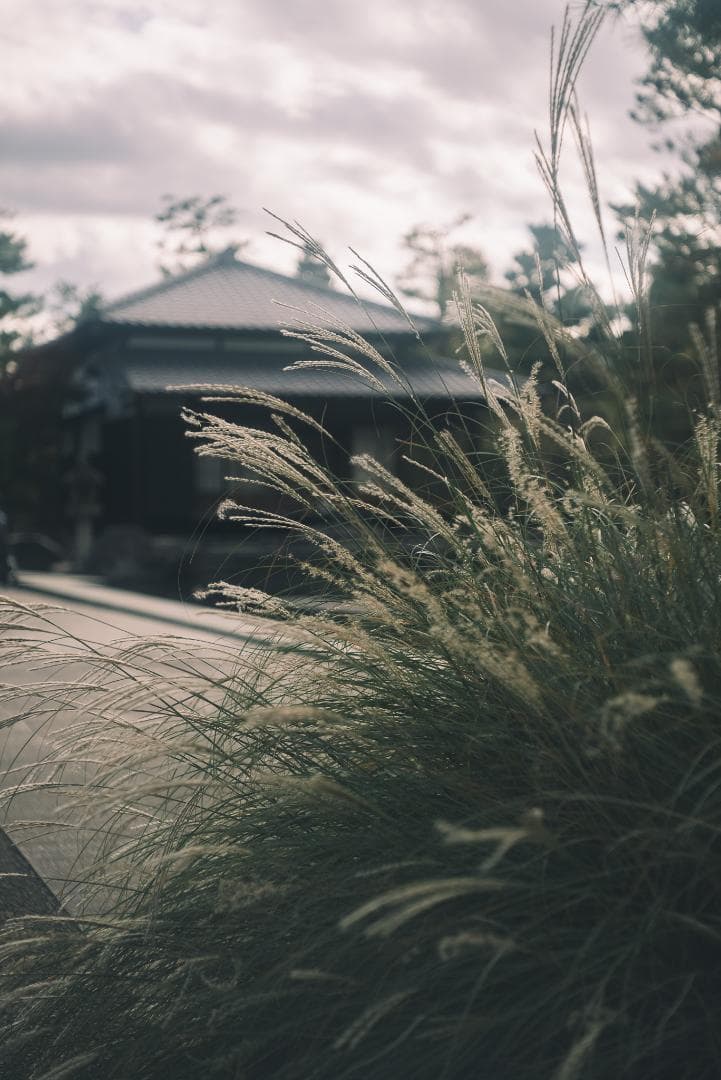 滲み玉！世界初の交換レンズ！Leica Elmar 50mm F3.5