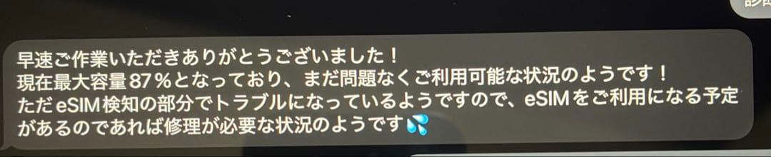 純正ケース付Apple iPad Pro セルラー 11インチ 256GB