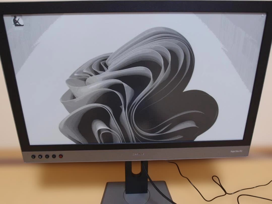 DASUNG Paperlike 253 E-ink モニター　（モノクロ版）