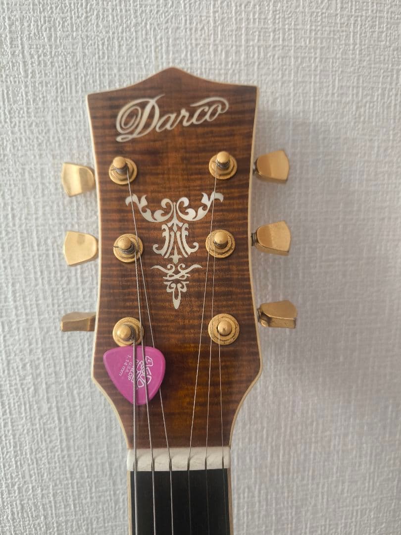 Darco アコースティックギター カッタウェイ