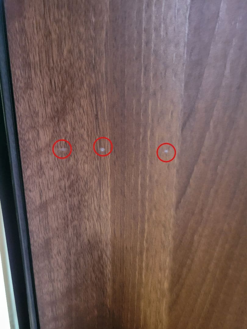 DALI ZENSOR3 ライトウォールナット ブックシェルフスピーカー