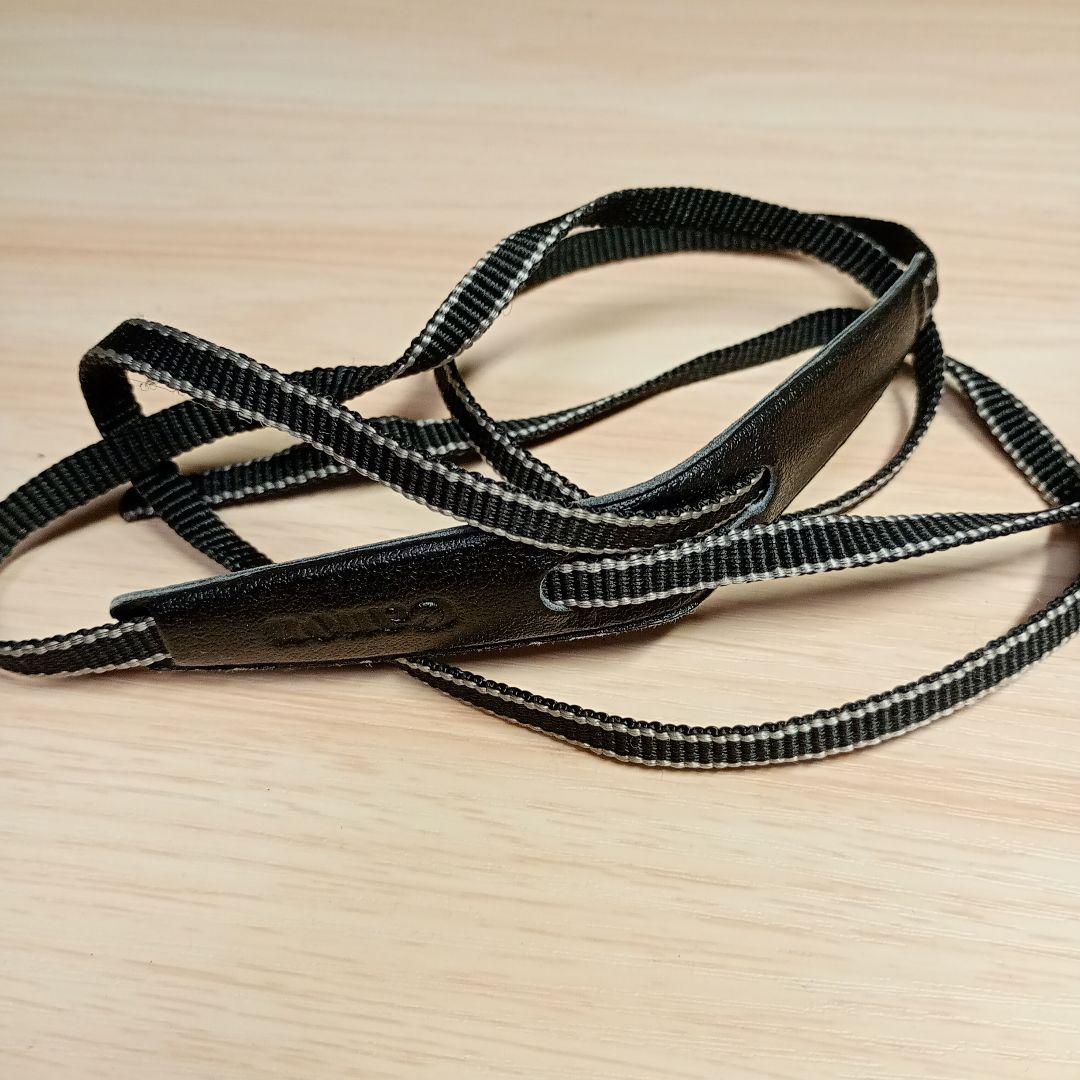 Y*e様 動作品 Canon Autoboy SXL panorama コンパク