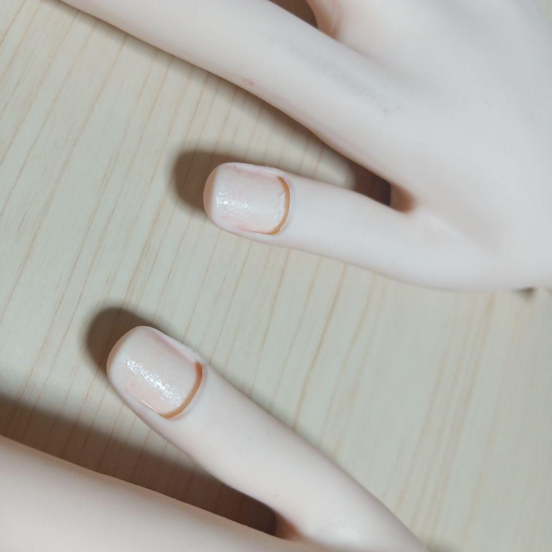 ネイリスト技能検定試験用JNEC認定モデルハンド/ネイリスト検定STモデルハンド