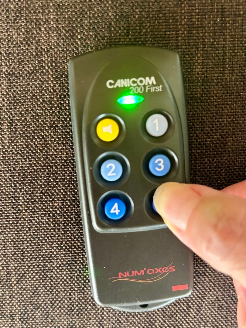 リモート　ペットトレーニング器具　犬しつけ用首輪　※電池交換要