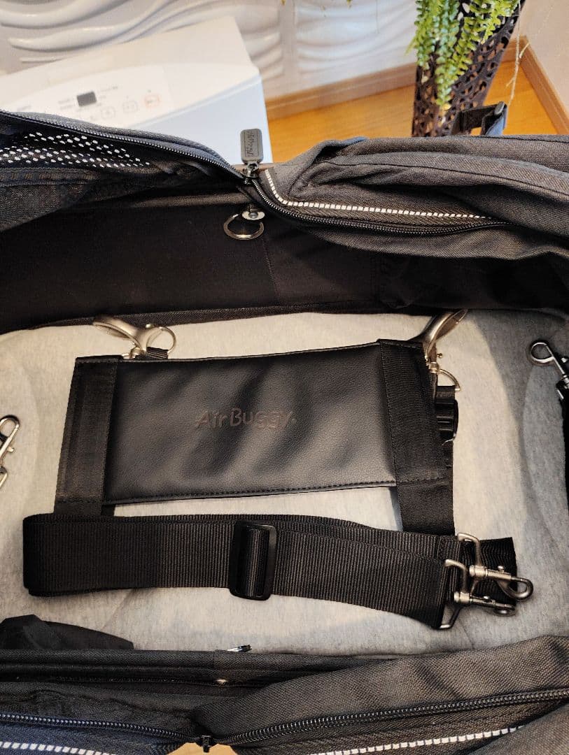 エアバギー×Mercedes-BenzDOME2 M