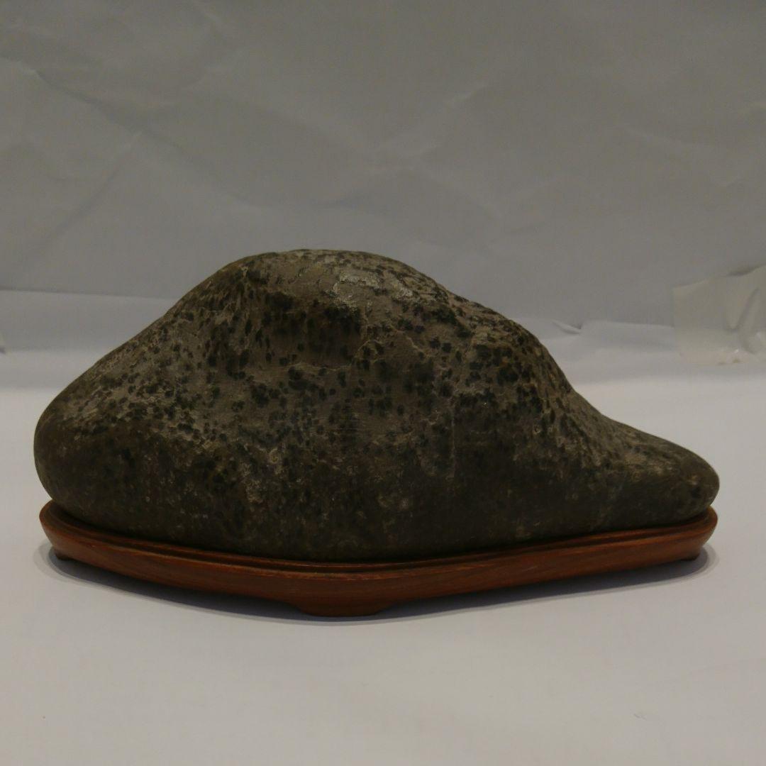 鑑賞石　盆石　瀬田川石