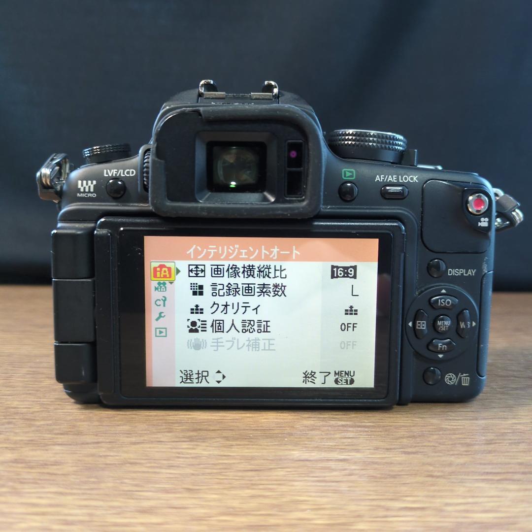 Panasonic LUMIX GH1 ボディ ブラック【動作品】箱付き