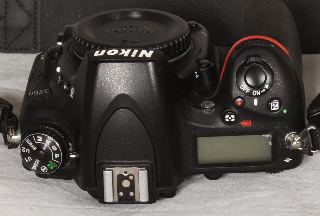 高*菜様 Nikon D750 デジタル一眼レフカメラ 本体(ni28-1-30