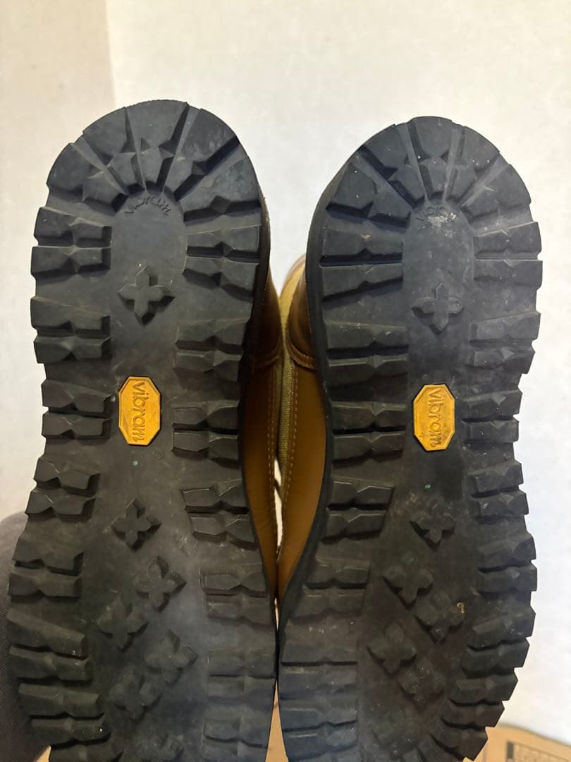 Danner LIGHT US9 ダナーライト