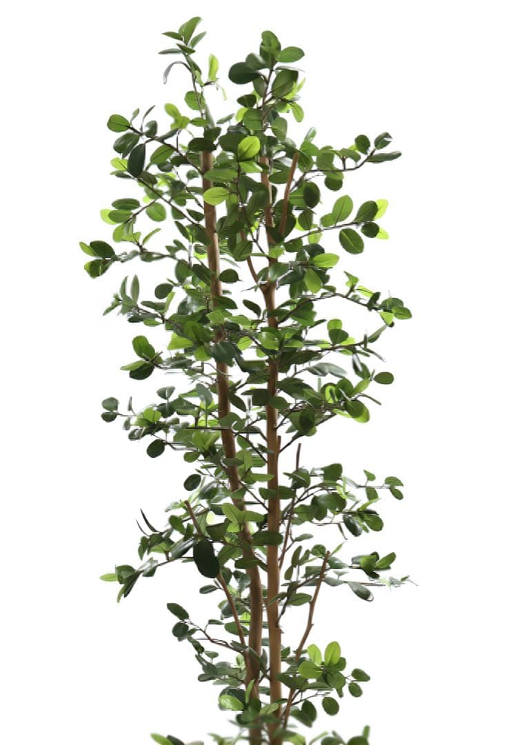 光触媒　人工観葉植物　ウォールグリーン　フェイクグリーン　ガジュマル160ajt