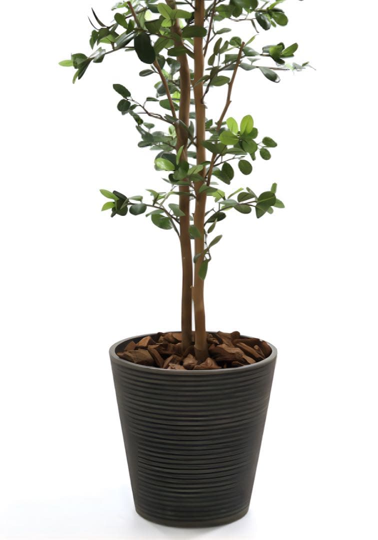光触媒　人工観葉植物　ウォールグリーン　フェイクグリーン　ガジュマル160ajt