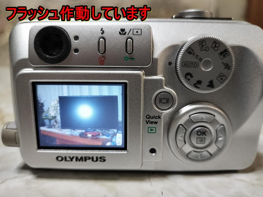 フルセットOLYMPUS CAMEDIA X-1 防水プロテクタ付！即エモい写真