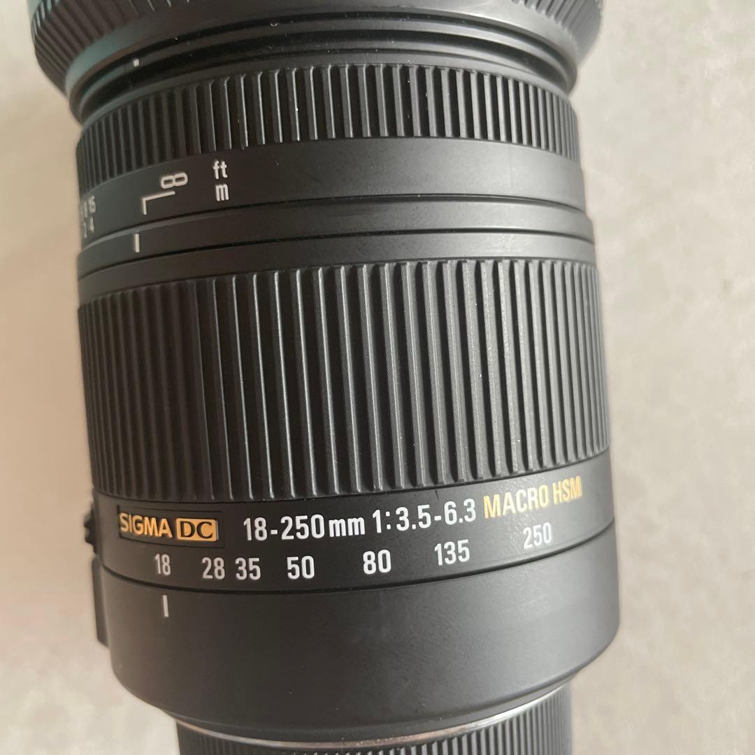 SIGMA 18-250mm ズームレンズ　ニコン用