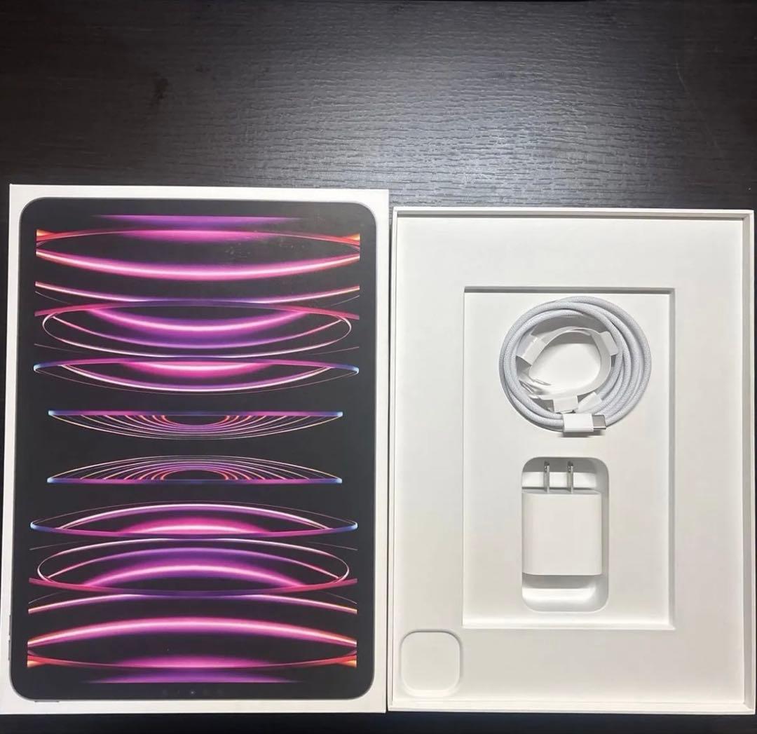 iPadPro 11インチ 第4世代